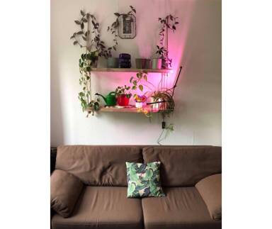 Wohnung zur Miete 350 € 1 Zimmer 32 m² Geschoss 1/4 Lützenkirchener Straße 172 b Quettingen Leverkusen 51381