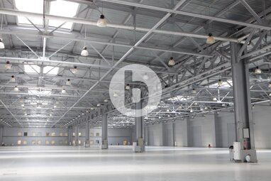 Lagerhalle zur Miete 6.600 m² Lagerfläche Billbrook Hamburg 22113