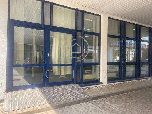 Bürofläche zur Miete provisionsfrei 9 € 265 m² Bürofläche teilbar ab 265 m² Langen (Hessen) 63225