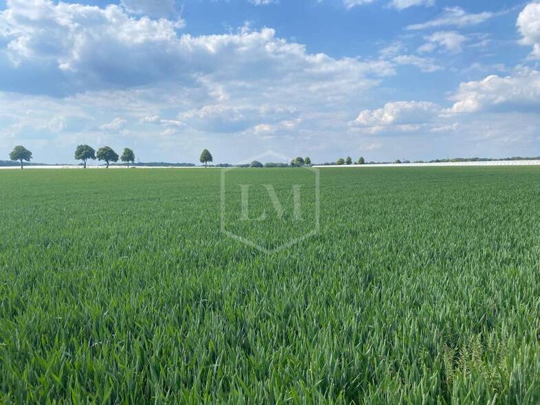 Landwirtschaftliche Fläche zum Kauf 1.050.000 € 63.346 m² Grundstück Erkelenz Erkelenz 41812