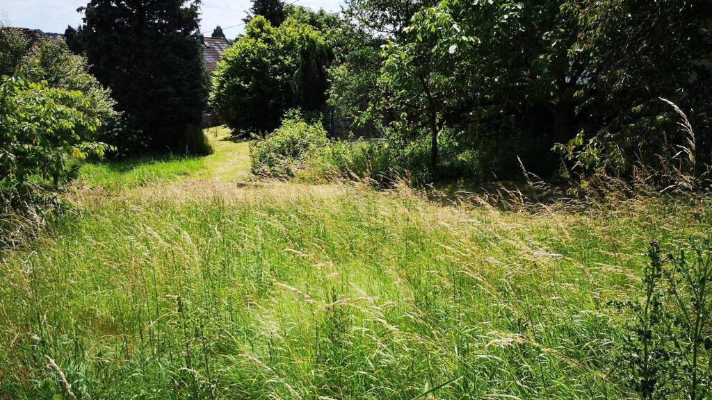 Grundstück zum Kauf 83.510 € 1.193 m² Grundstück frei ab sofort Überholz Morsbach 51597