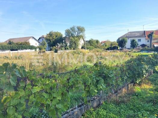 Grundstück zum Kauf 266.000 € 694 m² Grundstück Marchtrenk 4614