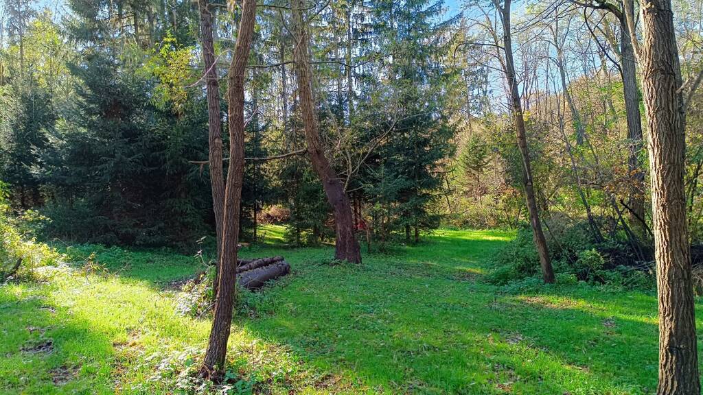 Haus zum Kauf 165.000 € 4 Zimmer 84 m² 3.577 m² Grundstück Felsomarác 9918