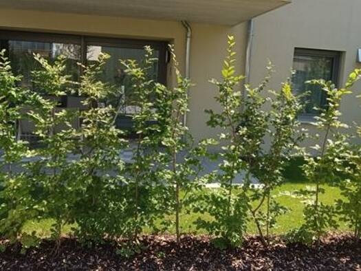 Wohnung zur Miete 1.500 € 2 Zimmer 69 m² EG Bad Füssing Bad Füssing 94072