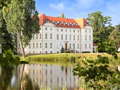 Schloss zum Kauf 3.700.000 € 39 Zimmer 3.000 m² 172.500 m² Grundstück Wedendorf Wedendorf 19217
