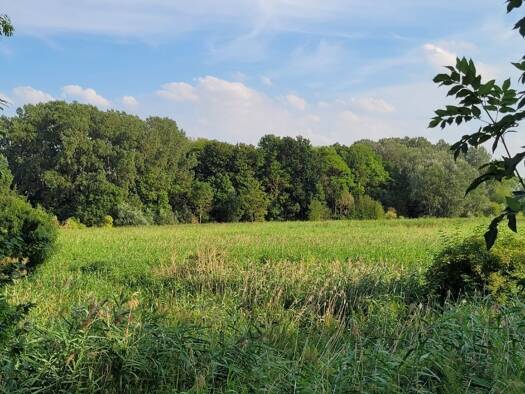 Sonstiges zum Kauf 38.956 € 19.478 m² Prenzlau 17291