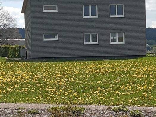 Haus zur Miete - Erstbezug 995 € 4 Zimmer 89 m² frei ab sofort Im Rammbogen 3 Roth bei Prüm 54597