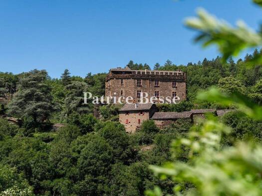 Land-/Forstwirtschaft zum Kauf 650.000 € 138.948 m² Grundstück Florac Trois Rivières 48400