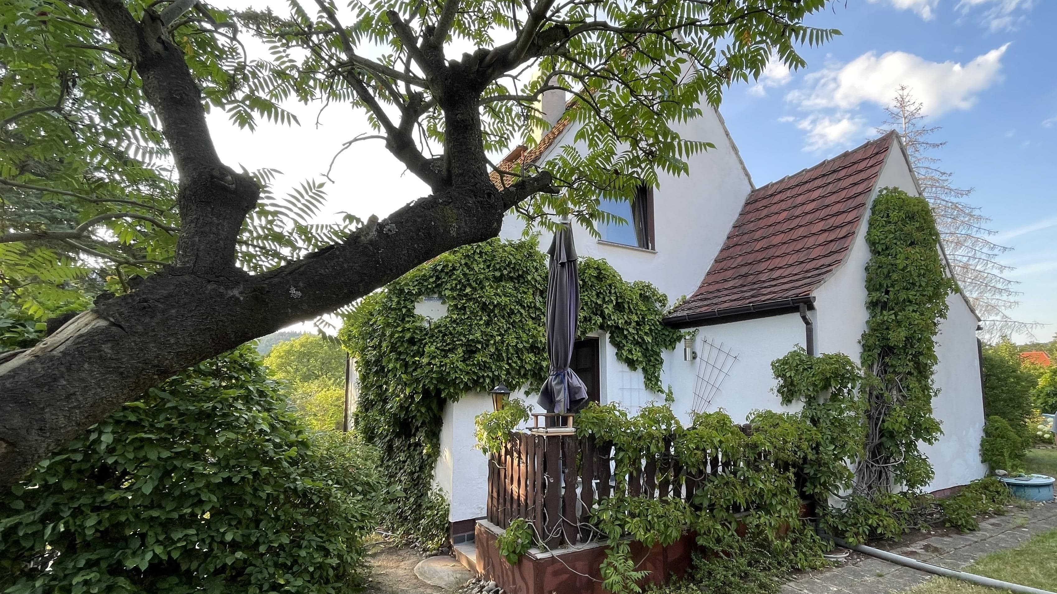 Einfamilienhaus zum Kauf 195.000 € 4 Zimmer 68 m²<br/>Wohnfläche 467 m²<br/>Grundstück Graupa Pirna 01796