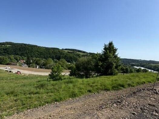 Freizeitgrundstück zum Kauf provisionsfrei 67.000 € 670 m² Grundstück Hellenthal Hellenthal 53940