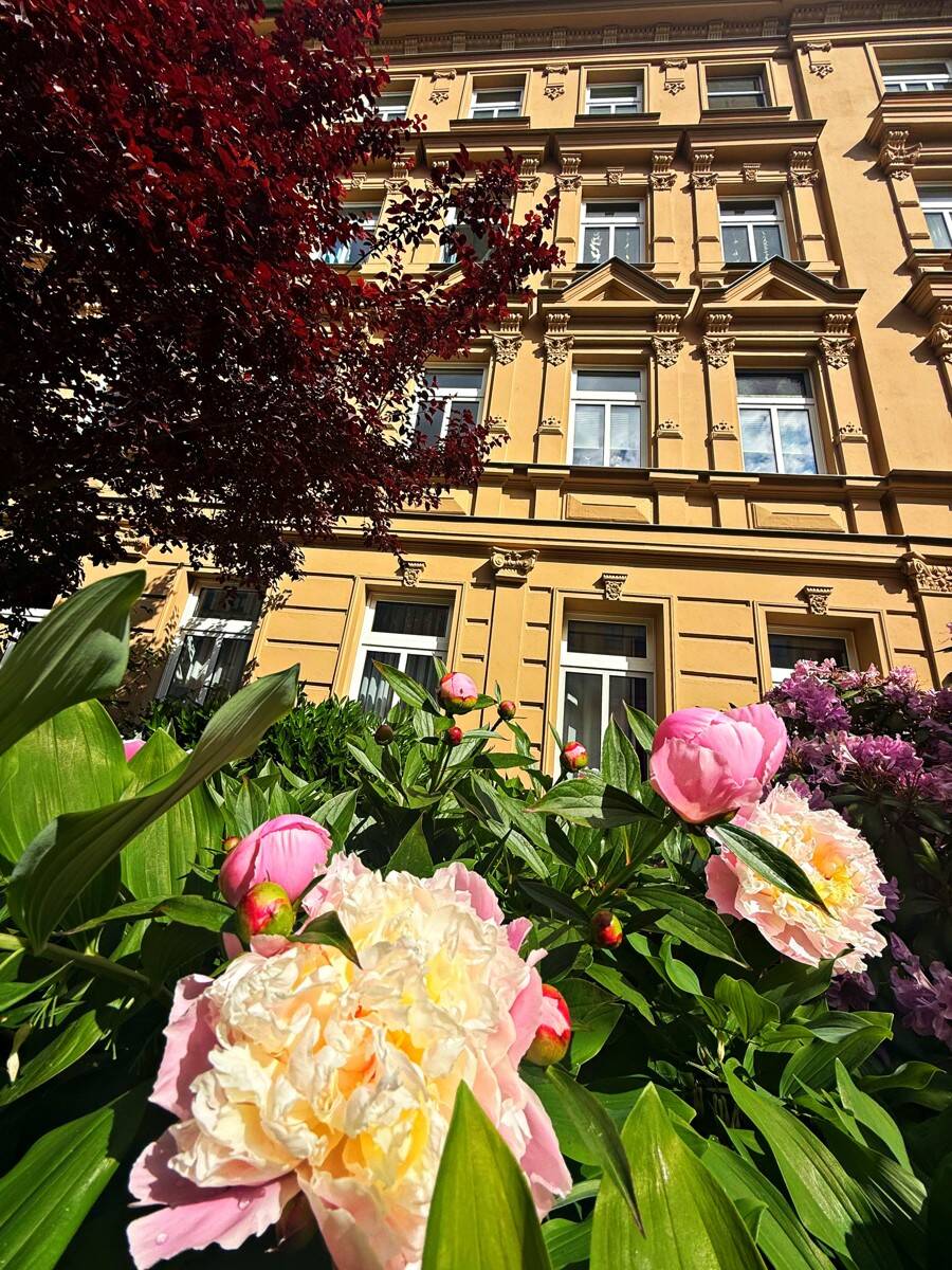 Key Royal: NEUER PREIS ETW bezugsfrei im Paulus-Viertel mit Garage und Stellplatz!!!