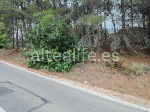 Wohn- und Gewerbegrundstück zum Kauf 95.000 € Altea 03599