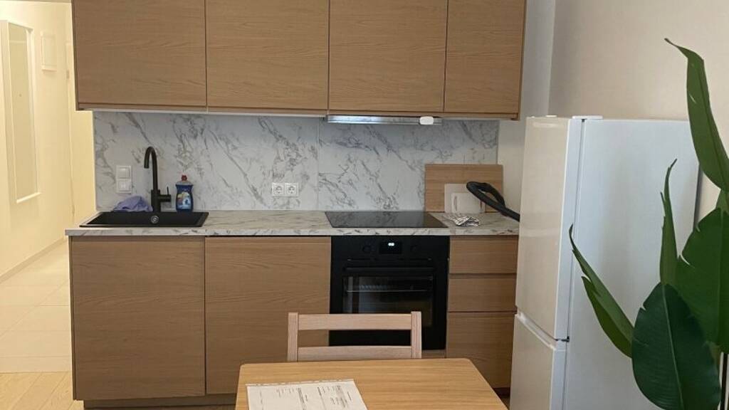 Wohnung zur Miete 790 € 1,5 Zimmer 27 m² Wien 1100