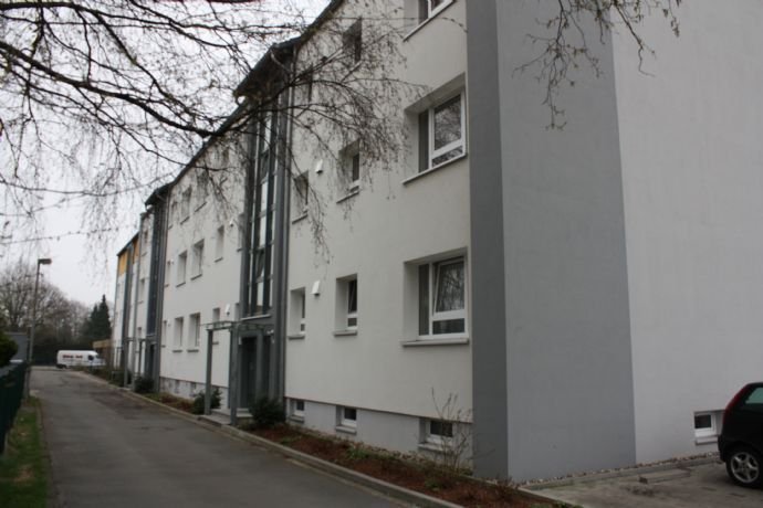 Wohnung zur Miete 331 € 1 Zimmer 41,4 m²<br/>Wohnfläche 3.<br/>Geschoss 01.02.2025<br/>Verfügbarkeit Friedenstr. 1c Telgte Peine 31228