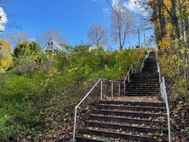 Freizeitgrundstück zum Kauf 75.000 € 1.295 m² Grundstück Bühlau/Weißer Hirsch Ortsamtsbereich Loschwitz 01326