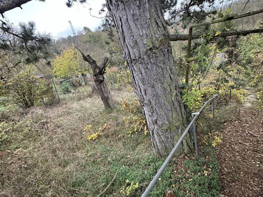 Grundstück zum Kauf 60.000 € 1.882 m² Grundstück Würzburg 97080