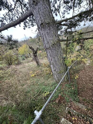 Grundstück zum Kauf 60.000 € 1.882 m² Grundstück Unterdürrbach Würzburg 97080