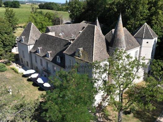Haus zum Kauf 1.700.000 € 697 m² 47.310 m² Grundstück Centre Ville Tournus 71700