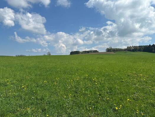Grundstück zum Kauf 295.000 € 827 m² Grundstück Feldkirchen bei Mattighofen 5143