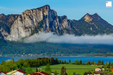 Haus zum Kauf 4 Zimmer 270 m² 1.300 m² Grundstück Mondsee 5310