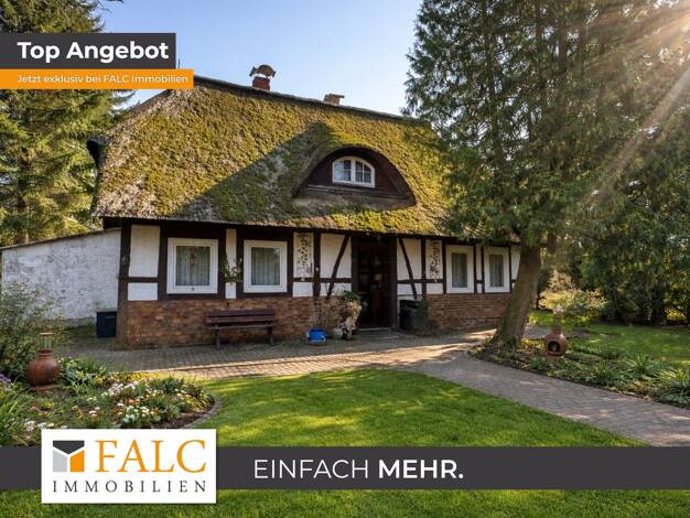 Haus zum Kauf 199.900 € 6 Zimmer 218 m² 2.998 m² Grundstück Meetzen Holdorf 19205