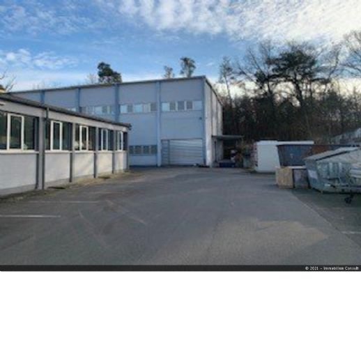 Lagerhalle zur Miete 3,90 € 750 m²<br/>Lagerfläche Heusenstamm Heusenstamm 63150