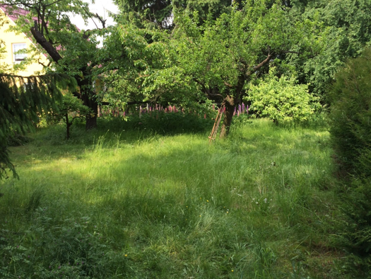 Grundstück zum Kauf 228.000 € 380 m² Grundstück Biesdorf Berlin 12683