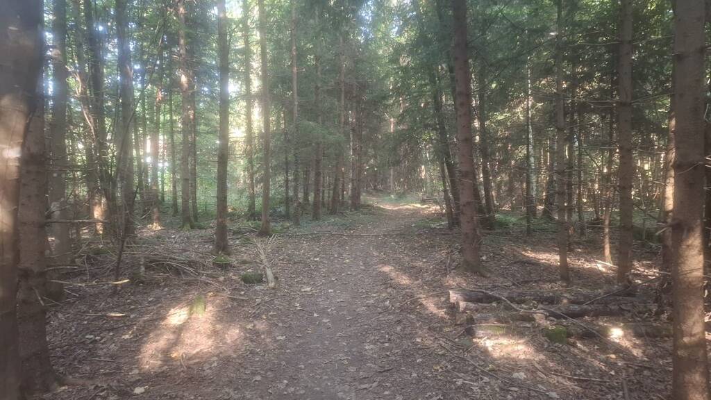 Land-/Forstwirtschaft zum Kauf 462.000 € 51.081 m² Grundstück Sauerlach 82054