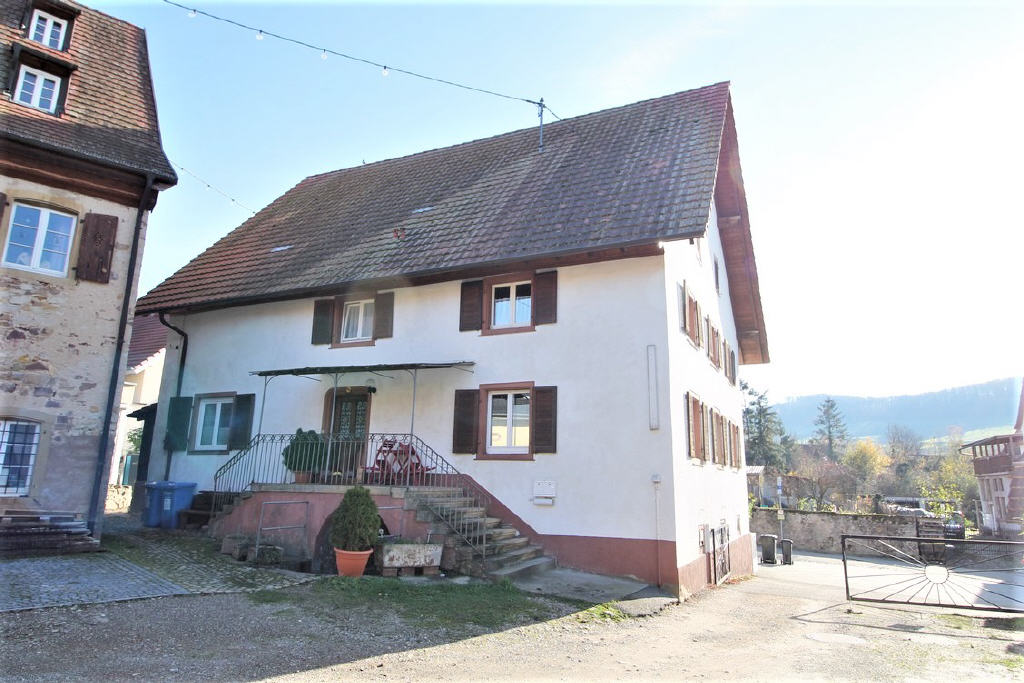 Mehrfamilienhaus zum Kauf 360.000 € 8 Zimmer 216 m²<br/>Wohnfläche 592 m²<br/>Grundstück Obereggenen Schliengen 79418