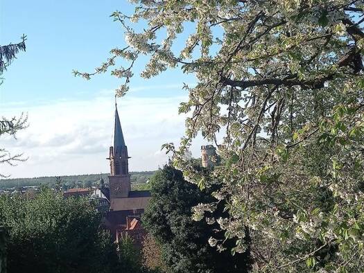 Doppelhaushälfte zum Kauf - Erstbezug 698.500 € 4 Zimmer 114,8 m² 611 m² Grundstück frei ab sofort Weingarten 76356