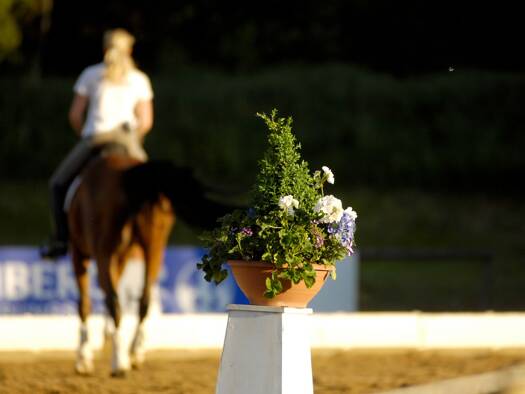 Reiterhof zum Kauf 48.000 m² Grundstück Aussiedlerhof Berg 82335