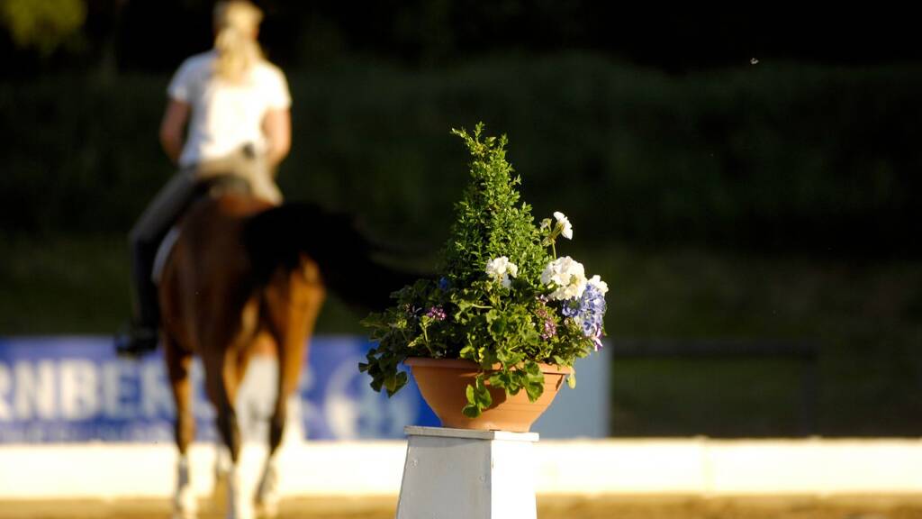 Reiterhof zum Kauf 48.000 m² Grundstück Aussiedlerhof Berg 82335