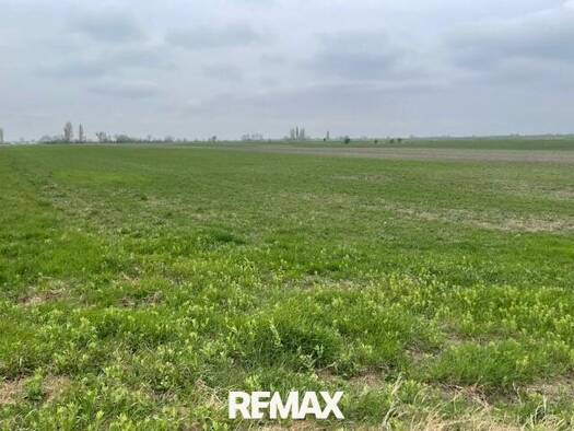 Landwirtschaftliche Fläche zum Kauf 67.800 € Podersdorf am See 7141