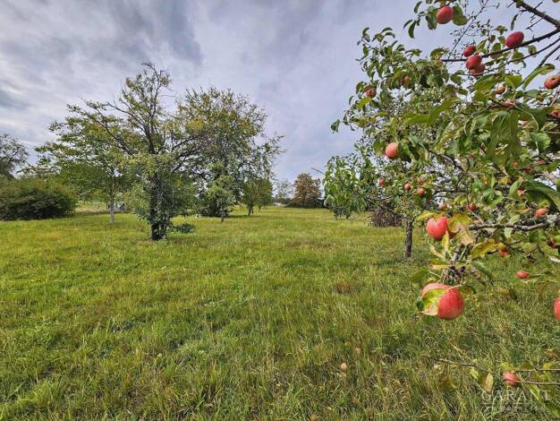 Mehrfamilienhaus zum Kauf 475.000 € 9 Zimmer 255 m² 7.185 m² Grundstück Schönhardt Mainhardt 74535