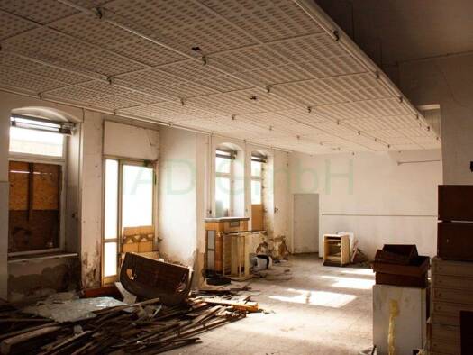 Mehrfamilienhaus zum Kauf 220.000 € 52 Zimmer 1.000 m² 650 m² Grundstück Reichenbach Reichenbach im Vogtland 08468