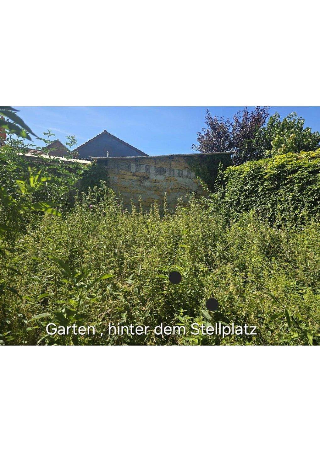 Immobilie in Bad Langensalza - Wohnhaus mit Denkmalschutz - Bild 4