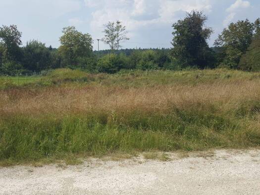 Grundstück zum Kauf 79.000 € 1.200 m² Grundstück Langfurth 91731