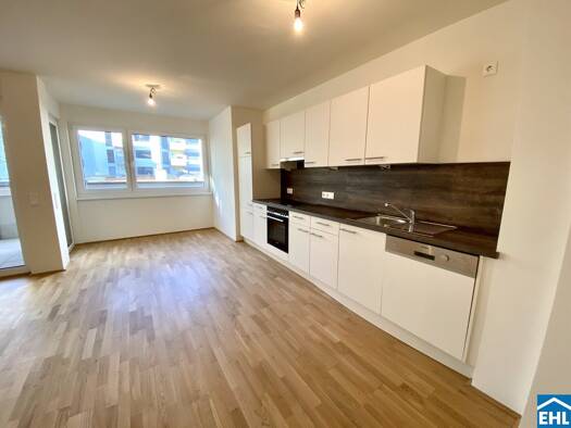 Wohnung zur Miete 695 € 2 Zimmer 45,2 m² 3. Geschoss Schöpfleuthnergasse Wien 1210