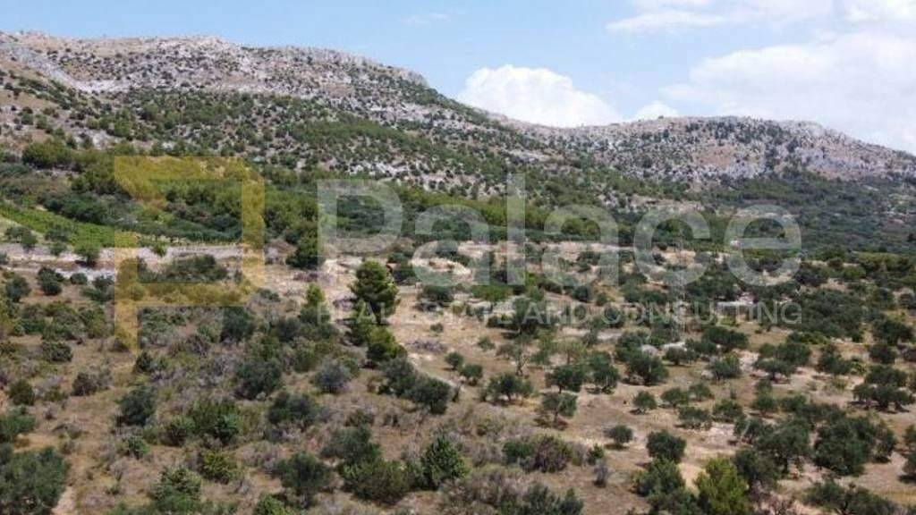 Land-/Forstwirtschaft zum Kauf 164.520 € Sibenik