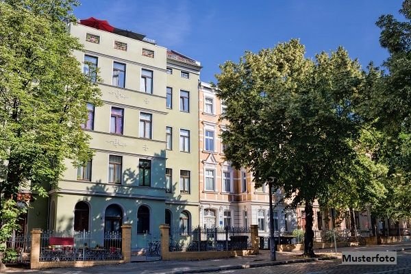 Mehrfamilienhaus zum Kauf 130.400 € 1 Zimmer 430 m²<br/>Wohnfläche 4.156 m²<br/>Grundstück Schönbrunn Saalburg-Ebersdorf 07929