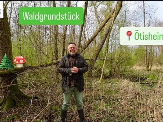 Land-/Forstwirtschaft zum Kauf 7.500 € 2.261 m² Grundstück Ötisheim Ötisheim 75443