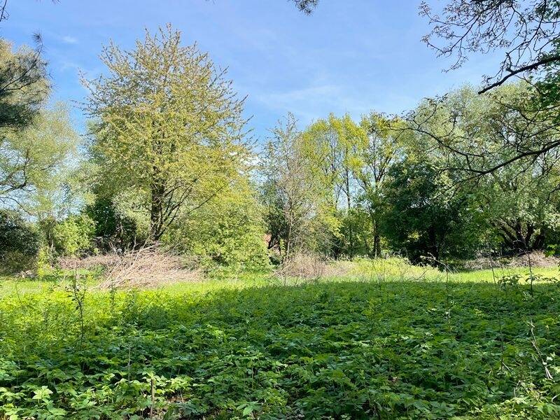 Attraktives Gewerbegrundstück in Adendorf - Die optimale Lage für Ihr Unternehmen