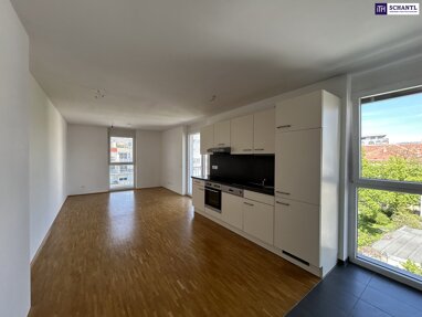 Wohnung zur Miete 600 € 2 Zimmer 53,7 m² 5. Geschoss Niesenbergergasse Gries Graz 8020