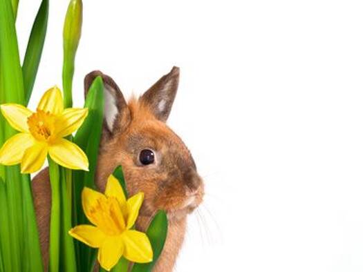 Wohnung zum Kauf 3,5 Zimmer 81 m² 1. Geschoss Bad Wörishofen 86825