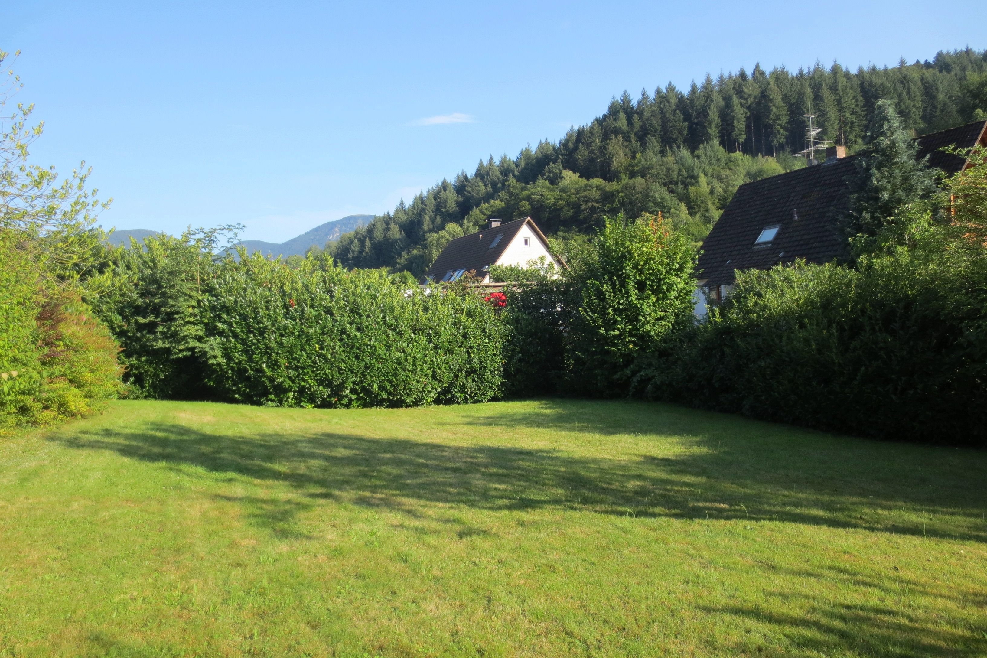 Grundstück zum Kauf 620.000 € 1.565 m²<br/>Grundstück Untermünstertal Münstertal 79244