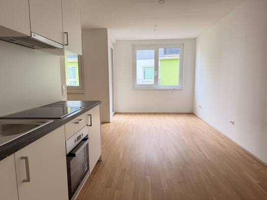 Wohnung zur Miete 622 € 1,5 Zimmer 37,8 m² 1. Geschoss frei ab sofort Wien 1230