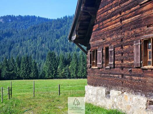 Grundstück zum Kauf 1.981.360 m² Grundstück frei ab sofort Balderschwang 87538