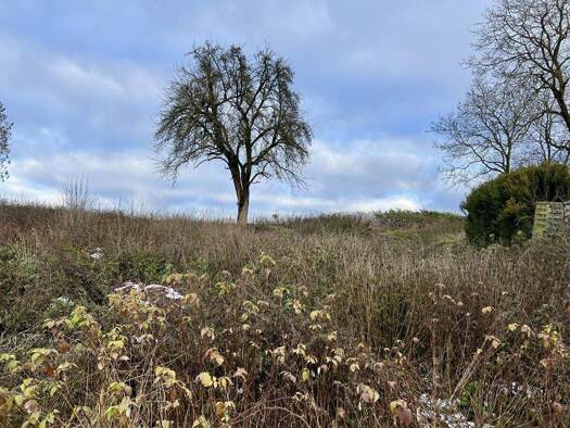 Grundstück zum Kauf 199.000 € 1.421 m² Grundstück Bergmatting Sinzing Bergmatting 93161