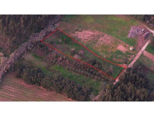 Grundstück zum Kauf 9.000 € 2.841 m² Grundstück Rio Maior
