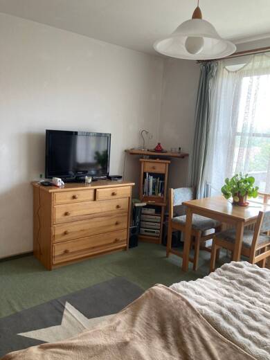 Studio zum Kauf als Kapitalanlage geeignet 34.000 € 1 Zimmer 28 m² Ahornweg 2-4 Zwiesel Zwiesel 94227